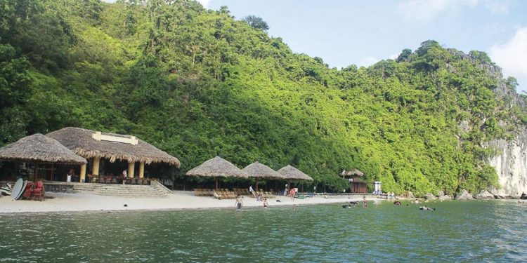 dao-Soi-Sim-diem-den-moi-trong-vinh-Ha-Long