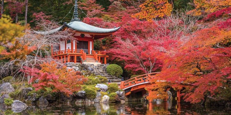 vi-vu-mua-thu-Nhat-Ban