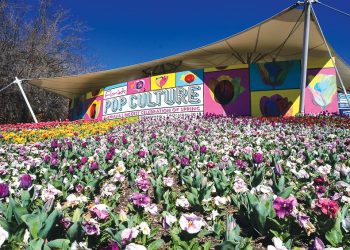 Floriade-2018-muon-hong-ngan-tia