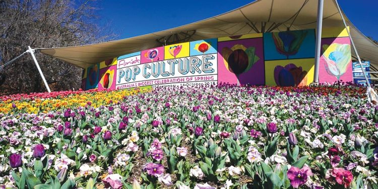 Floriade-2018-muon-hong-ngan-tia