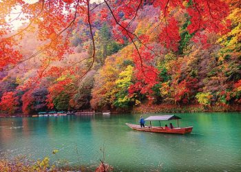mua-Koyo-Nhat-Ban