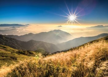 ron-rang-don-thu-tren-dao-ngoc-Dai-Loan