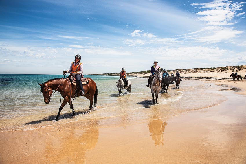 Một ngày du ngoạn ở Mornington