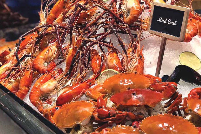 Buffet tự chọn cả tuần tại Food Connexion