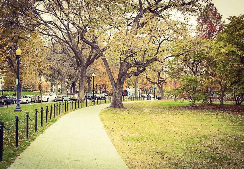 Thưởng ngoạn sắc thu khắp thế giới