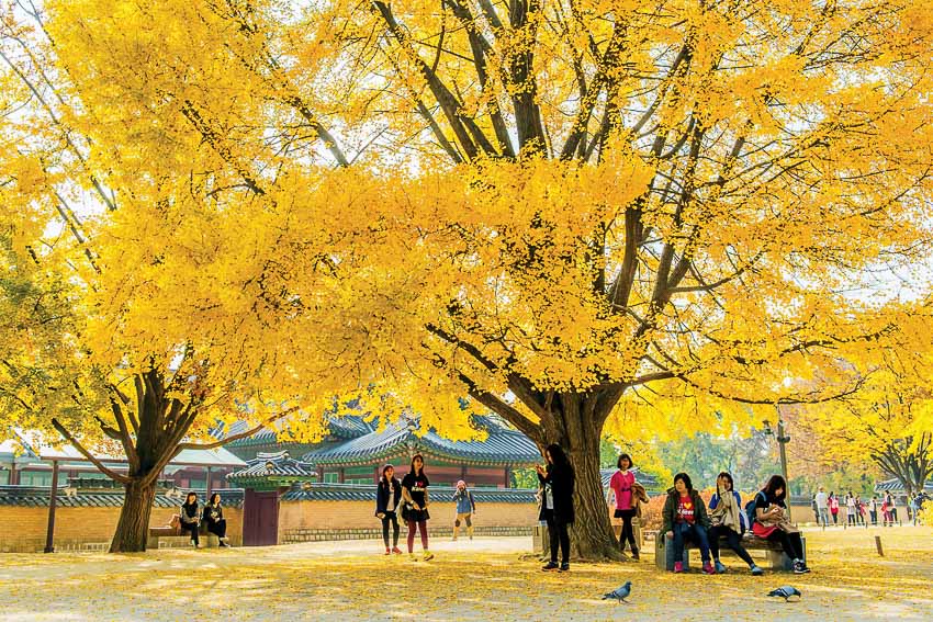 Lữ hành Saigontourist thực hiện chương trình tri ân khách hàng