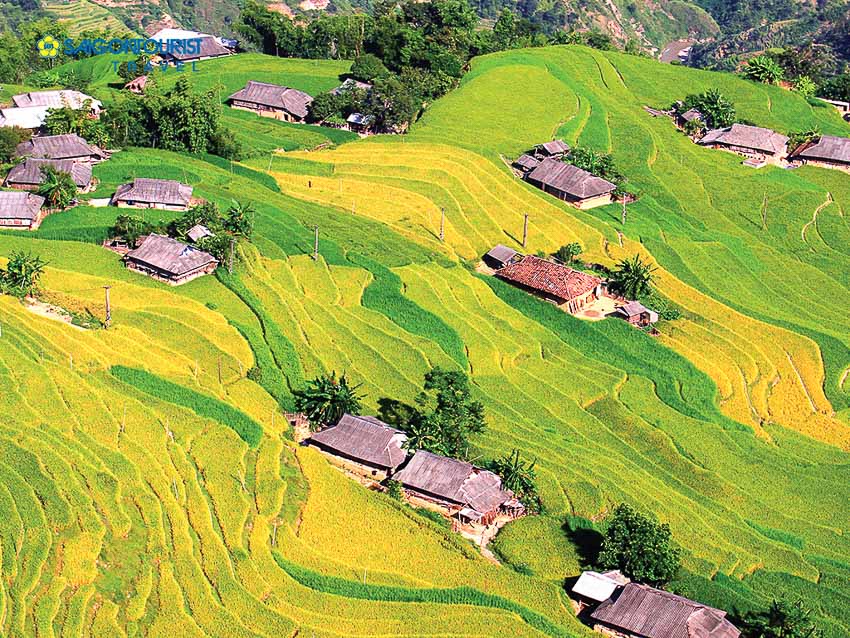 Lạc trôi giữa khung cảnh lãng mạn miền núi cao