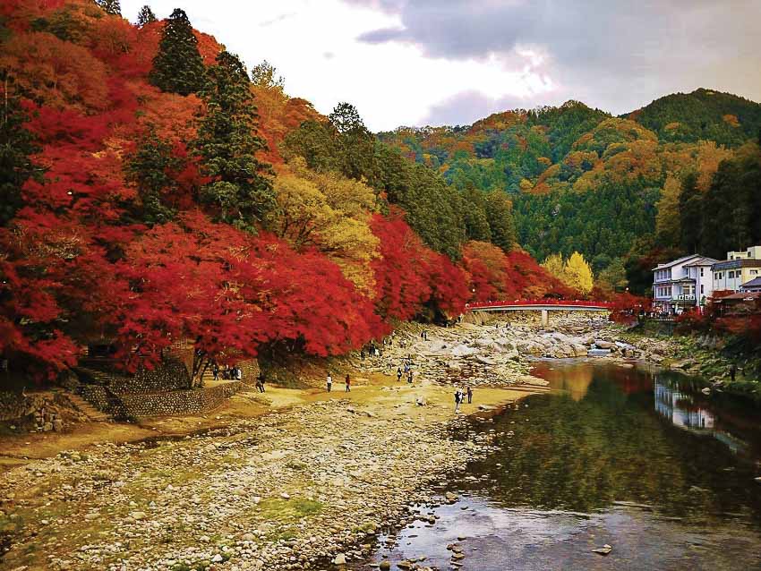 Thu chuyển mình giữa thung lũng Korankei ở Nhật | Noithatmagazine.vn