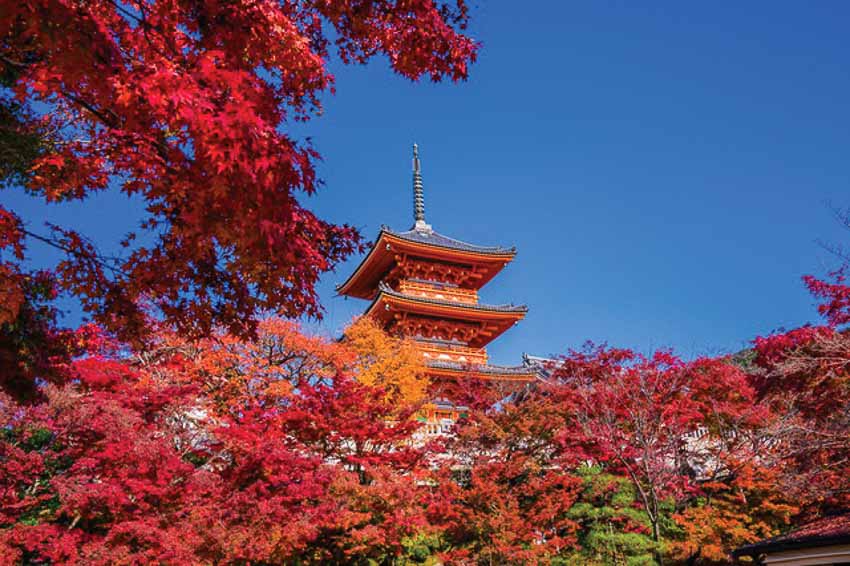 Đã đến lúc chạm tay vào mùa thu Nhật Bản