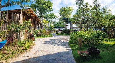 Đón xuân bên dòng sông Hậu