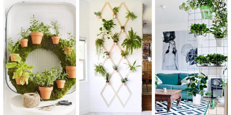 Ý tưởng vườn treo cho không gian nhỏ