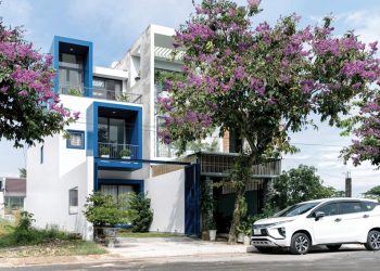 Frame House - Thích ứng với tự nhiên - 4