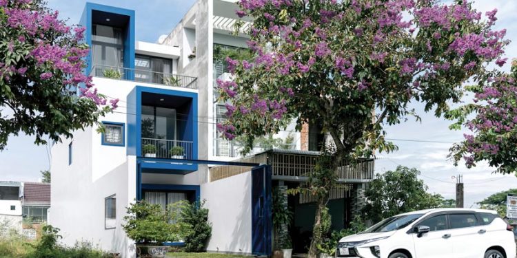 Frame House - Thích ứng với tự nhiên - 4