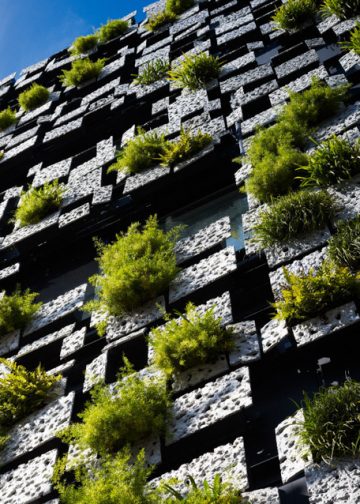 21 dự án mà KTS Kengo Kuma sử dụng vật liệu theo những cách khác biệt
