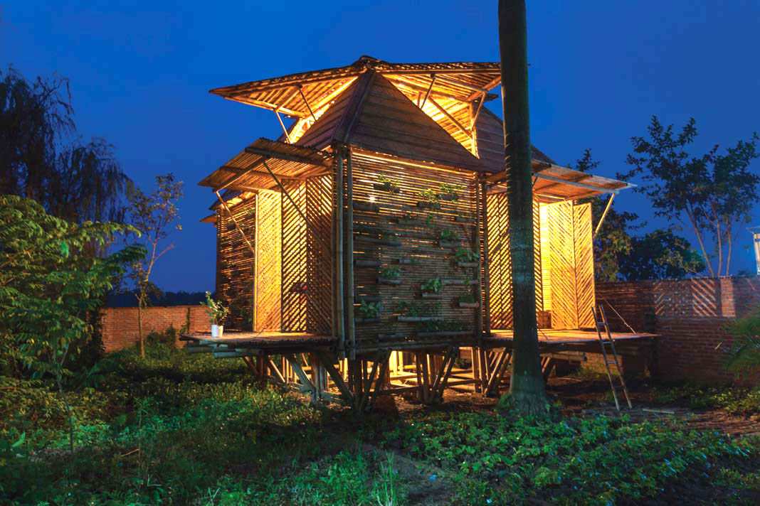 Khi tre nở thành hoa