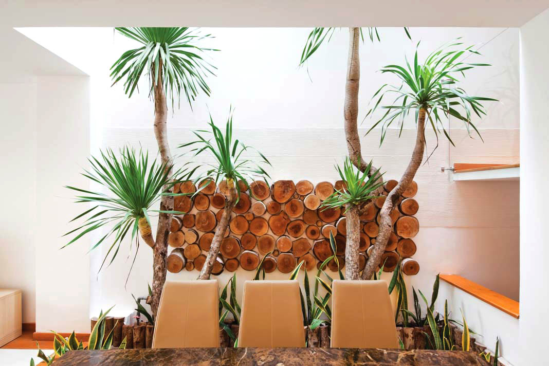 Không gian trung gian – giải pháp mở cho nhà phố