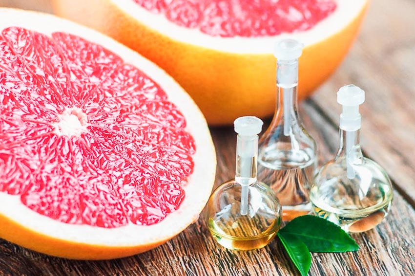 Mùi hương nào dành cho một Sư Tử đế vương và đam mê?