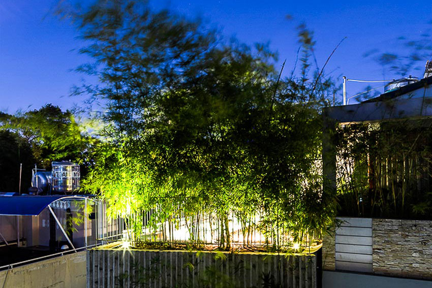 Nhà Tre – Ngôi nhà xanh giữa lòng thành phố