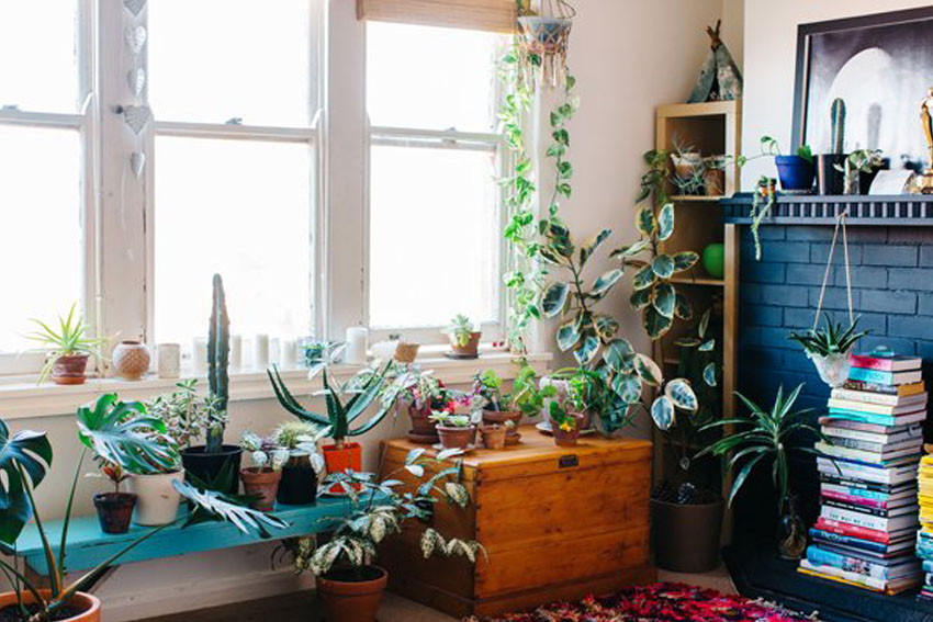 Không gian xanh trong nội thất