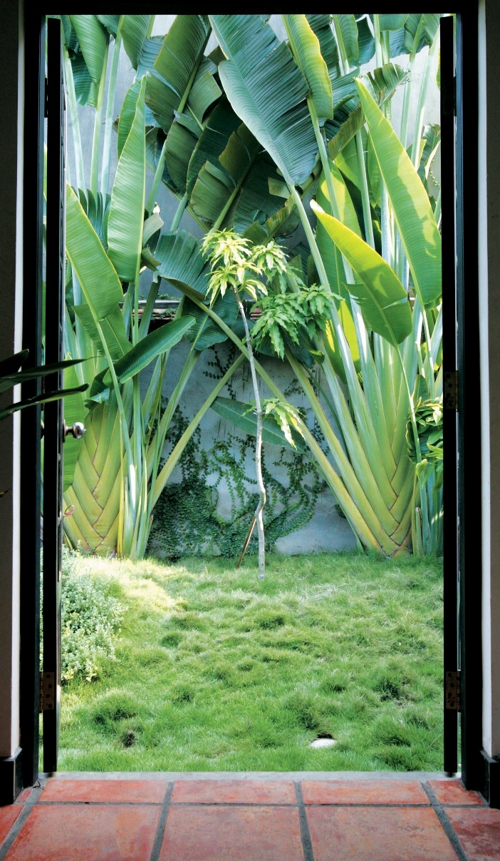Một bức tranh của vườn thiên nhiên ùa vào trong nhà