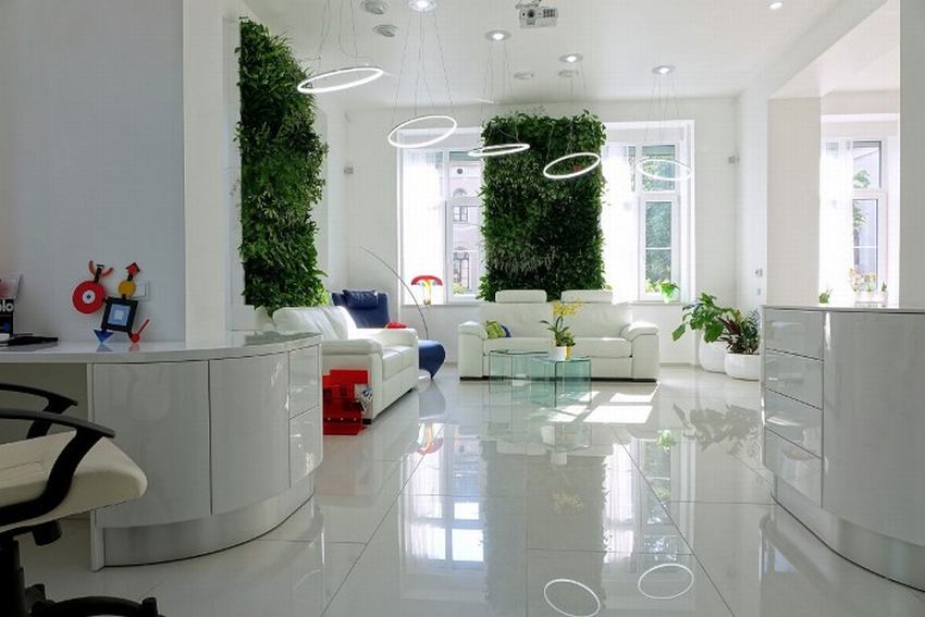 Trên phông nền trắng