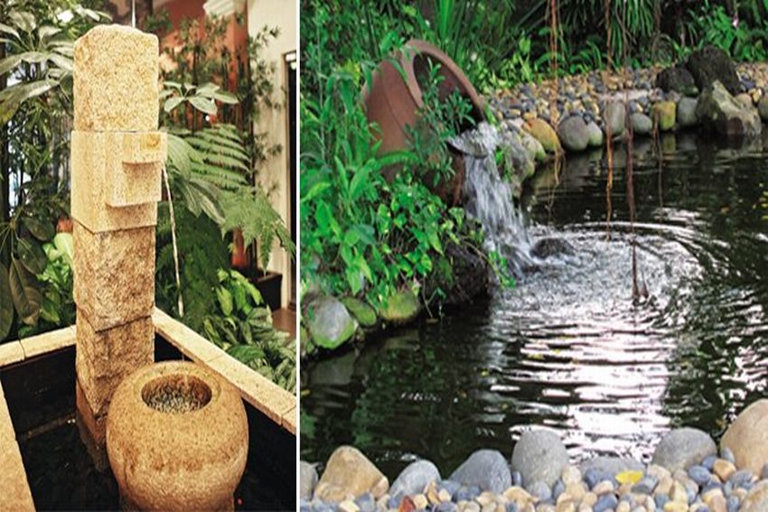 Có cần làm hồ nước trong nhà?