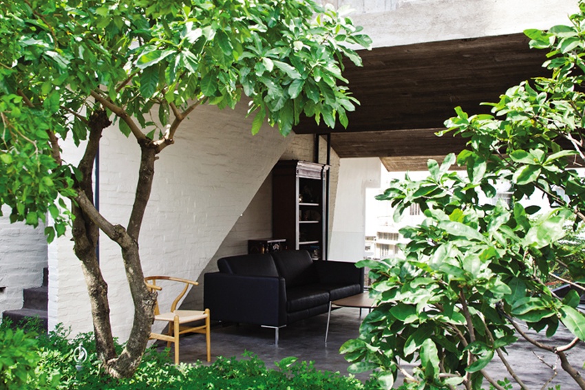 Ngôi nhà nhiệt đới ở Bình Thạnh