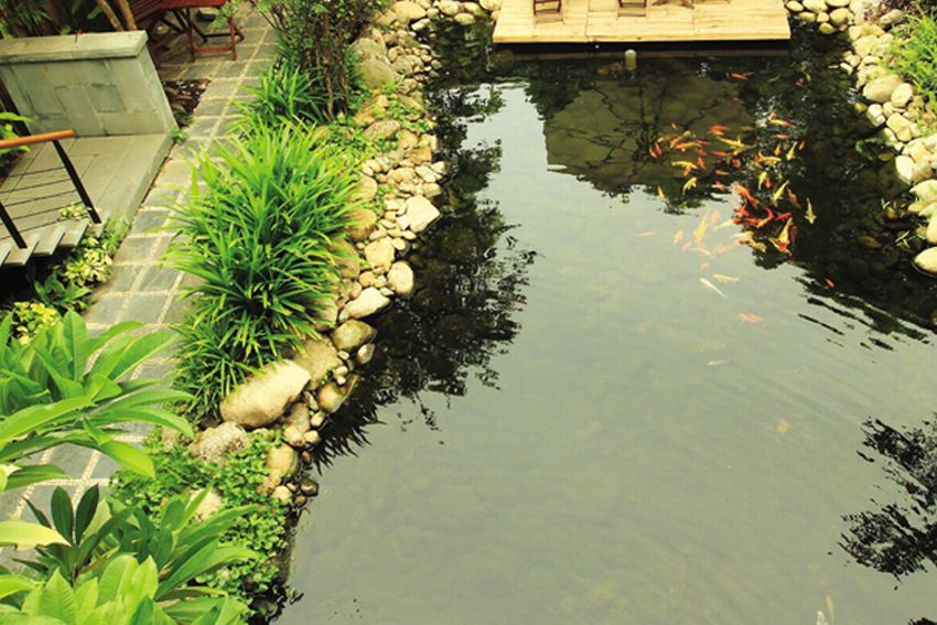 Nước và chuyện cát – hung trong nhà