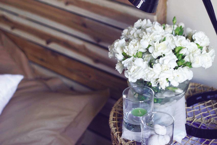 Hoa cho những giấc mơ đẹp