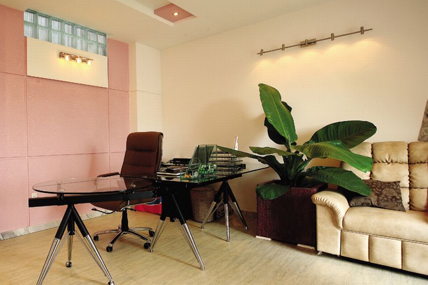 Phong thủy cho nhà của “sao”