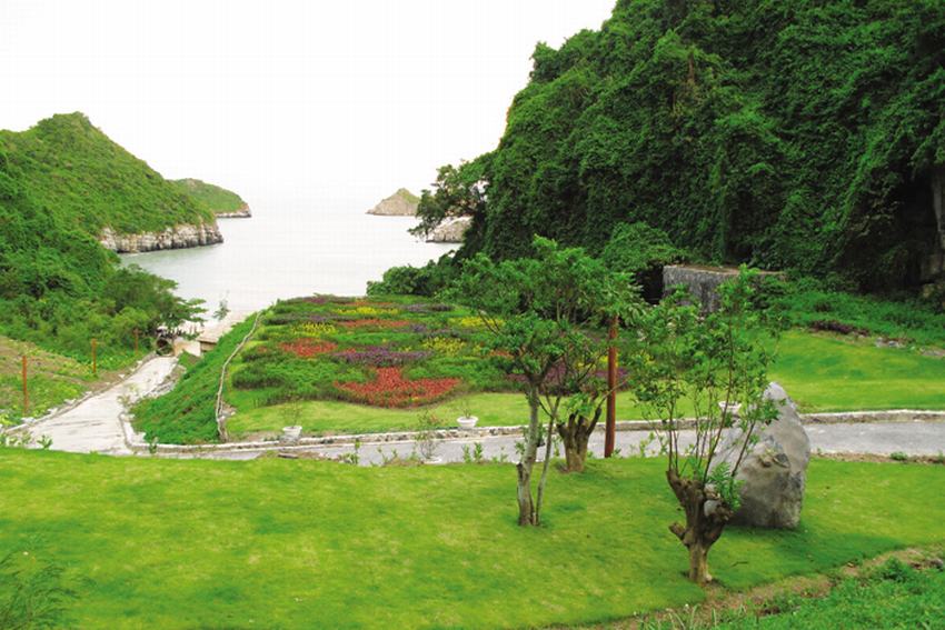 Gót chân tiên Cát Bà Beach Resort