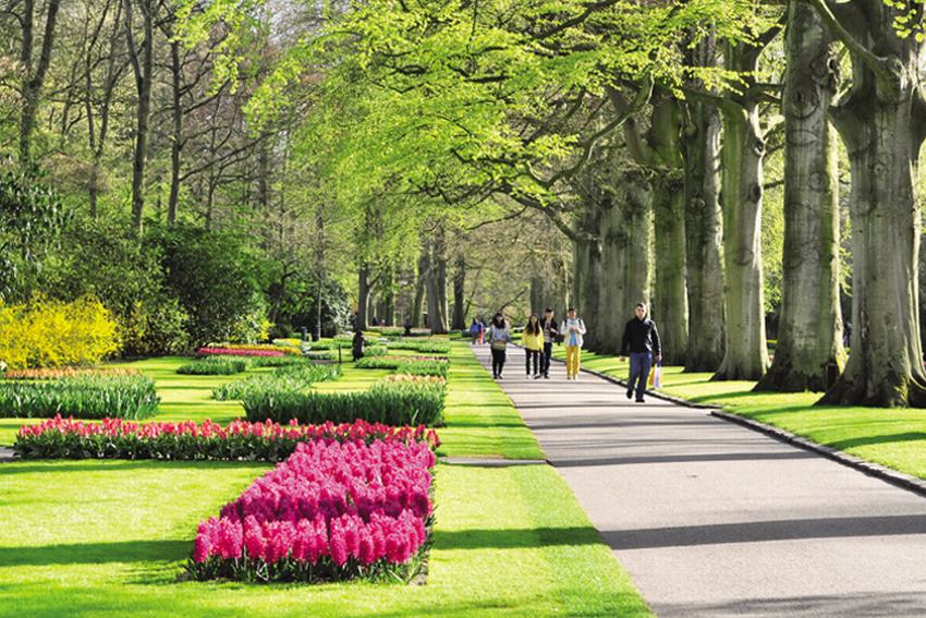 Lễ hội hoa ở khắp thế gian