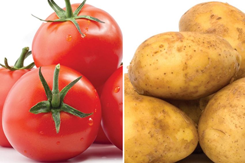 Lựa chọn thông minh để giảm tải cho tủ lạnh