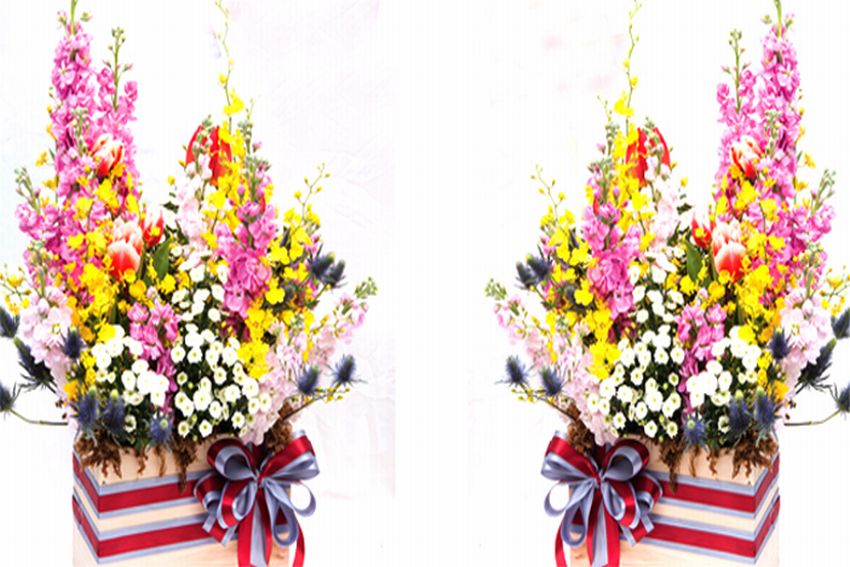 Hướng dẫn cắm hoa ngày tết: Chủ đề “Sắc xuân vui tươi”
