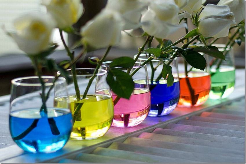 Đón chào mùa hè