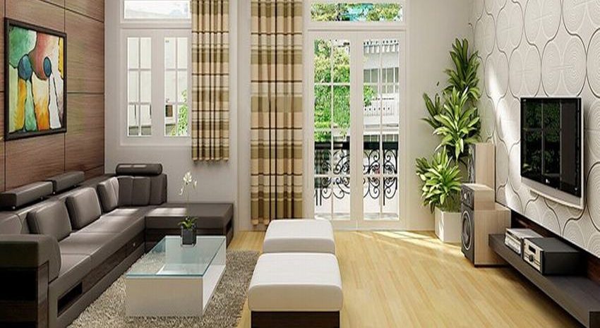 Cây kiểng ở nơi tiếp khách