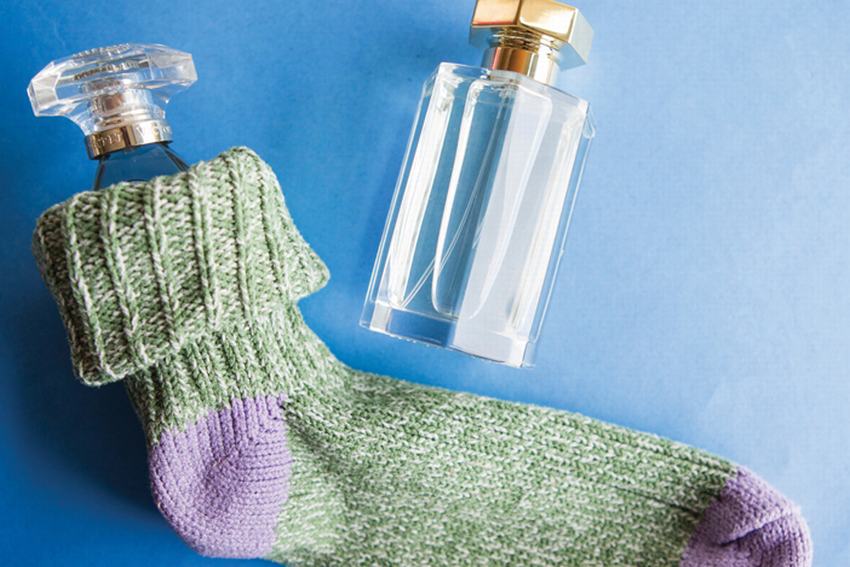 Chuẩn bị hành lý cho cuộc vui ngày hè