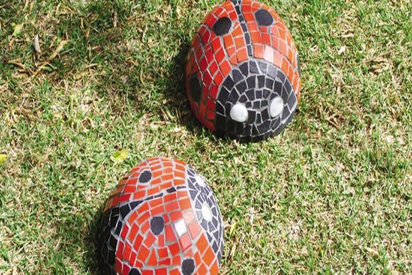 Bọ rùa ngộ nghĩnh