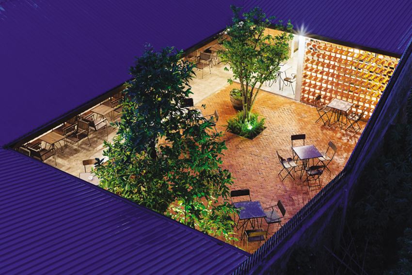 “Phượng” ở Cao Lãnh