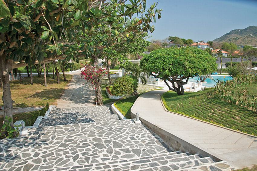 Alma Oasis thiên đường nghỉ dưỡng thật gần!