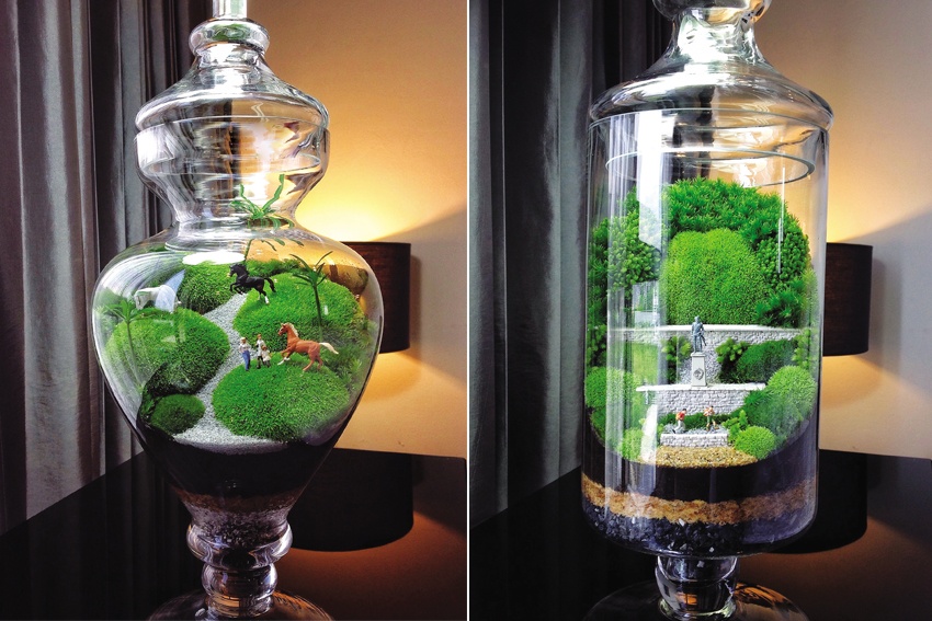 Nghệ thuật chơi terrarium