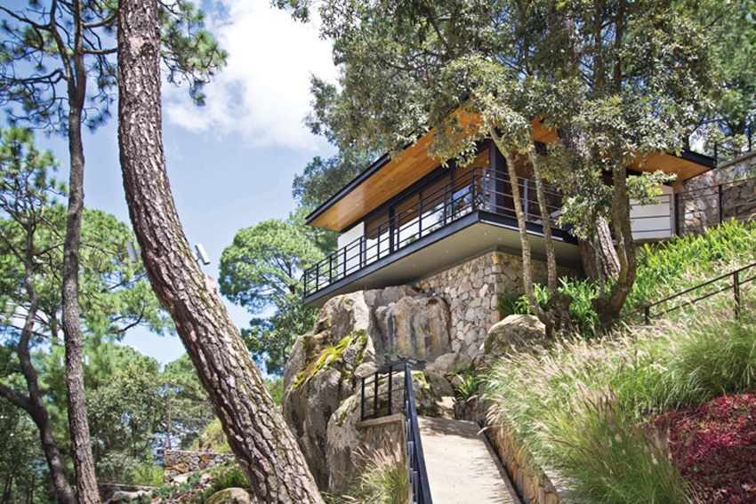 Ngôi nhà giữa rừng thông