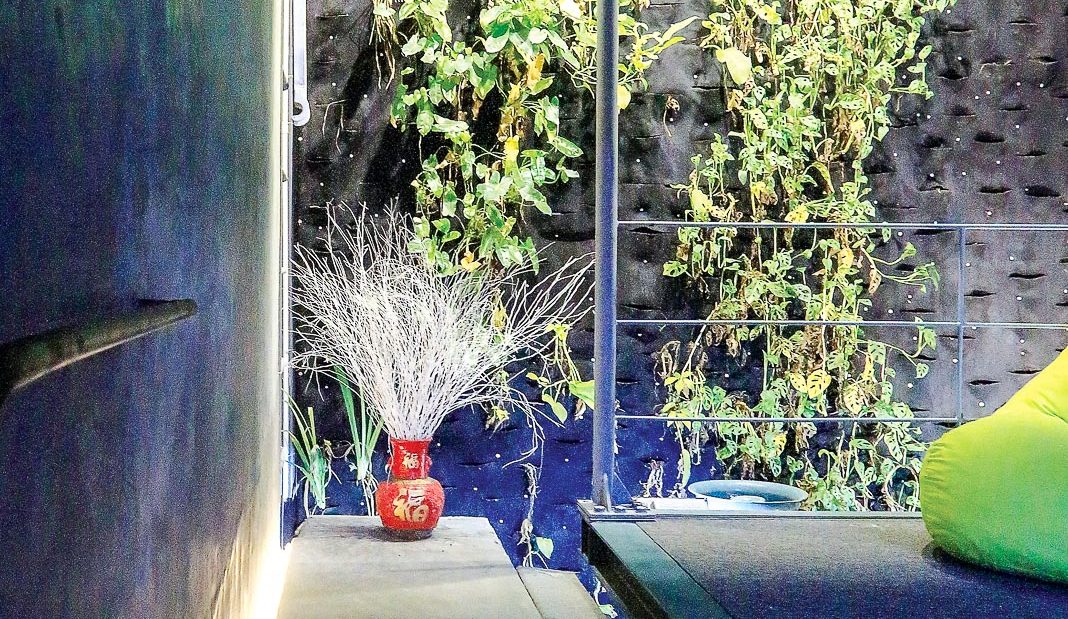 Thiên nhiên không ở đâu xa