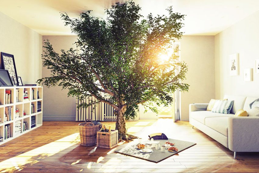 Xu hướng ứng dụng vật liệu xanh trong thiết kế hiện đại