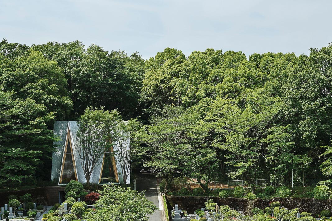 nha-nguyen-giua-rung-Sayama