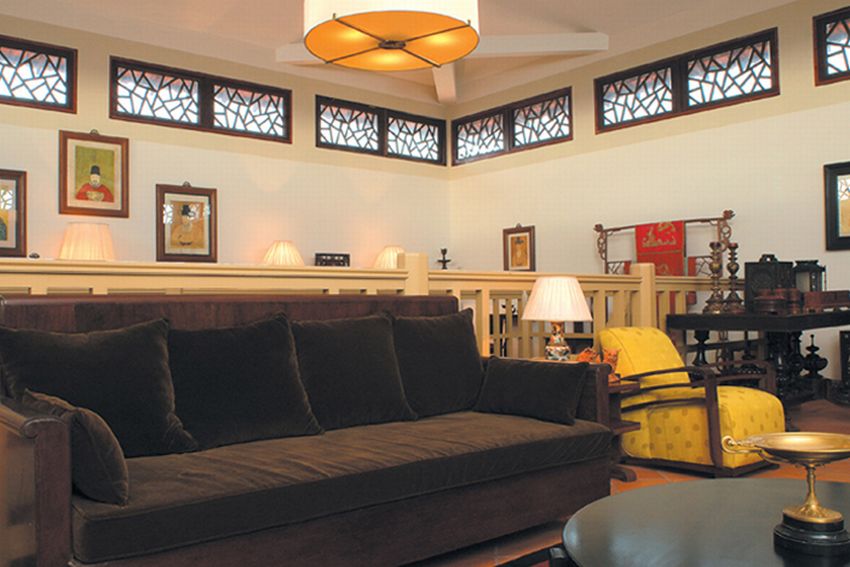 Quan sát: Trong “rừng” nhiệt đới