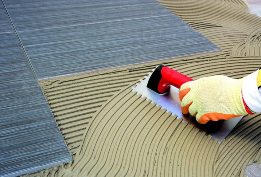 Weber toàn cầu và Weber Việt Nam