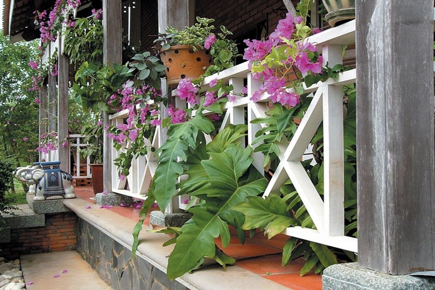 Nhà ở sinh thái