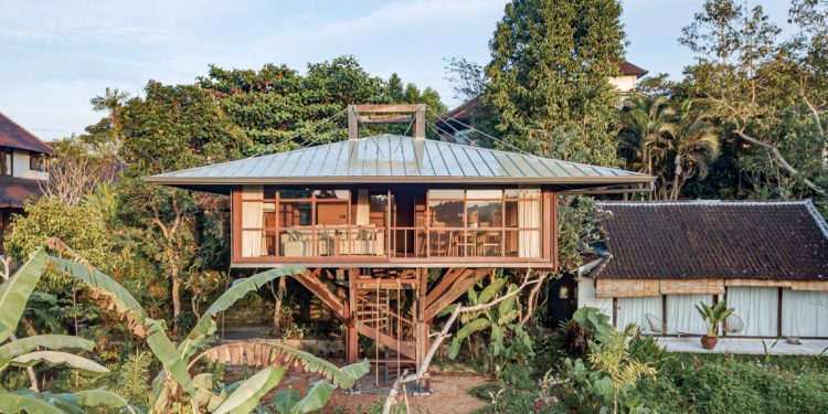 Nhà trên cây bằng gỗ đã tạo ra một ốc đảo ở một ngôi làng Bali