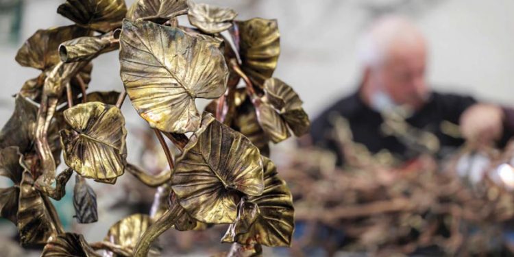 Bộ sưu tập Calathea - Sự khởi đầu mới - 2